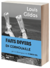LouisGildasFaitsDiversCouv.png