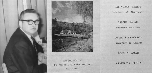 Fichier:BlogMuseum.jpg
